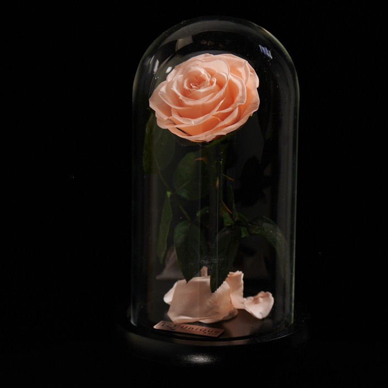 Dom de sticla cu trandafir Peach
